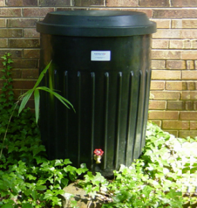 Cover photo for Rain Barrel Availability