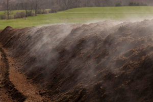 Cover photo for Quick Compost Survey for Farmers