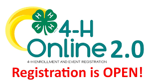 4-H Online 2.0