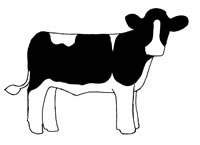 Drawing of a cow