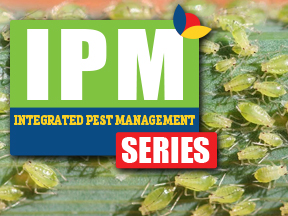 IPM Series Graphic