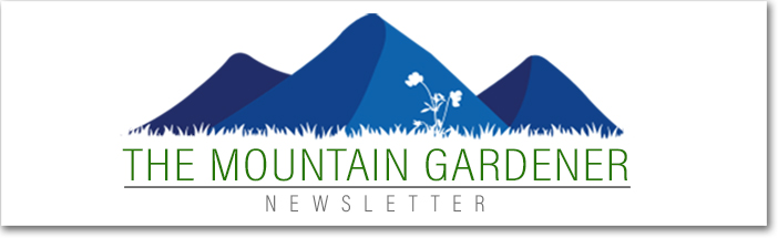 The Mountain Gardener Newsletter Header