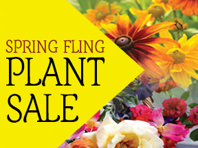 Spring Fling Plant Sale