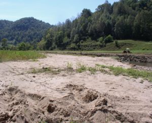 Cover photo for Disaster Relief Program for Buncombe, Haywood, Henderson, Rutherford and Transylvania Counties to Open for Affected Producers