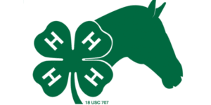 Cover photo for 2020 N.C. 4-H Horse Eligibility Cards