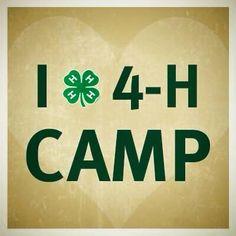 I love 4-H Camp
