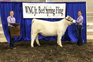 Cover photo for Western NC Spring Fling (CANCELED)