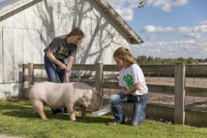 Cover photo for Exciting NC 4-H Livestock Opportunities Available Soon