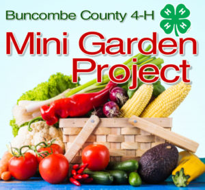 4-H Mini Garden Project