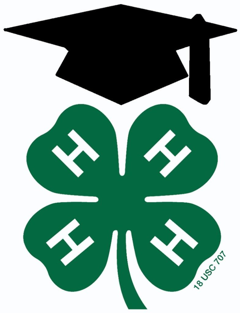 2020 Daisy 4-H Shooting Sports Scholarship