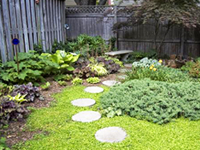 walking path in garden