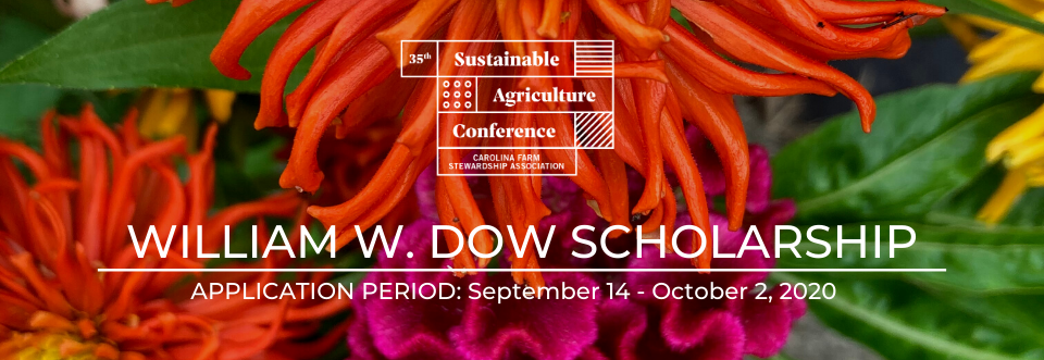 William W Dow Scholarship