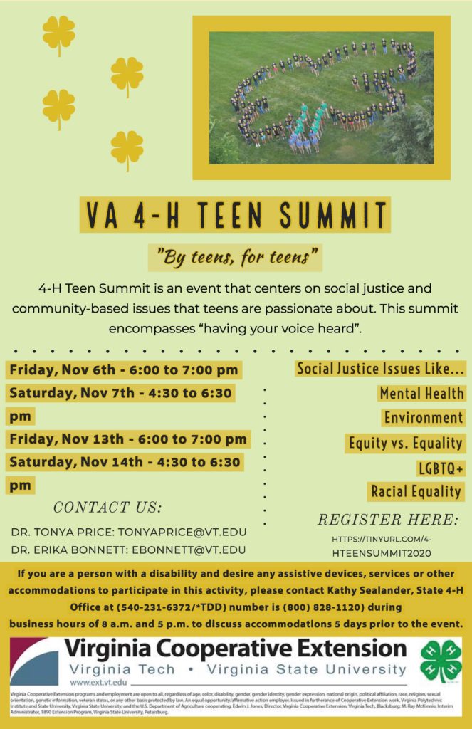 Virtual Teen Summit Flyer info
