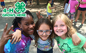 Girls at 4H camp
