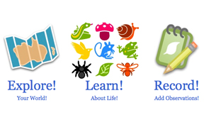 Cover photo for NC 4-H and Citizen Science: It's Connected