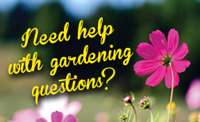 Need help with your gardening questions?