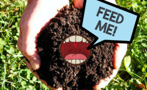 Hands holding soil with a mouth saying "feed me!"
