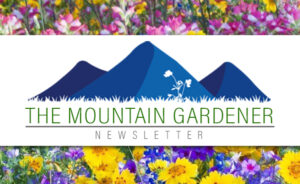 Mountain Gardener header on flower background