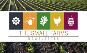 Small Farms Newsletter Header on background of crops