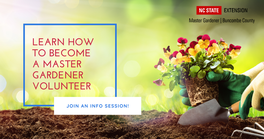 Learn how to become a master gardener volunteer.