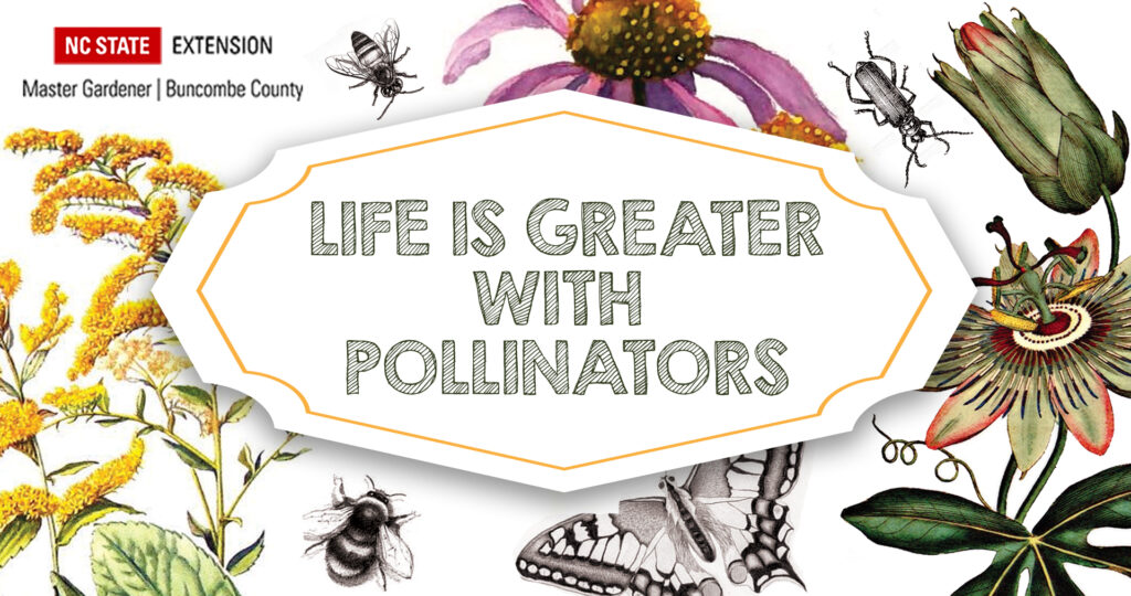 Life is Greater with Pollinators