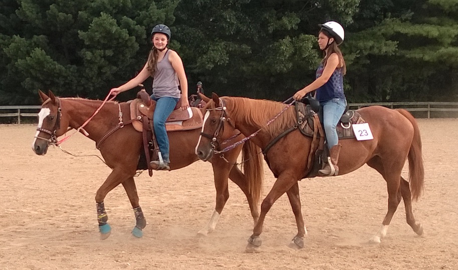 4-H Horse clinic