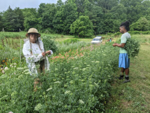 Cover photo for Farm Visit Snapshots: Perry-Winkle Farm to Market!