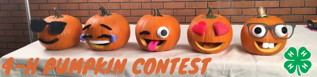 Pumpkin Decorating Contest