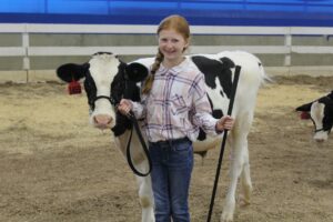 Dairy Steer Program