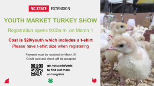 Youth Market Turkey Show Flyer