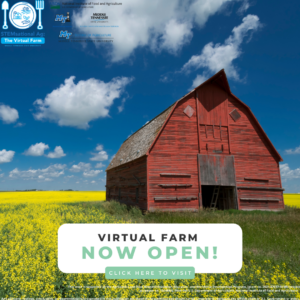 Virtual Farm