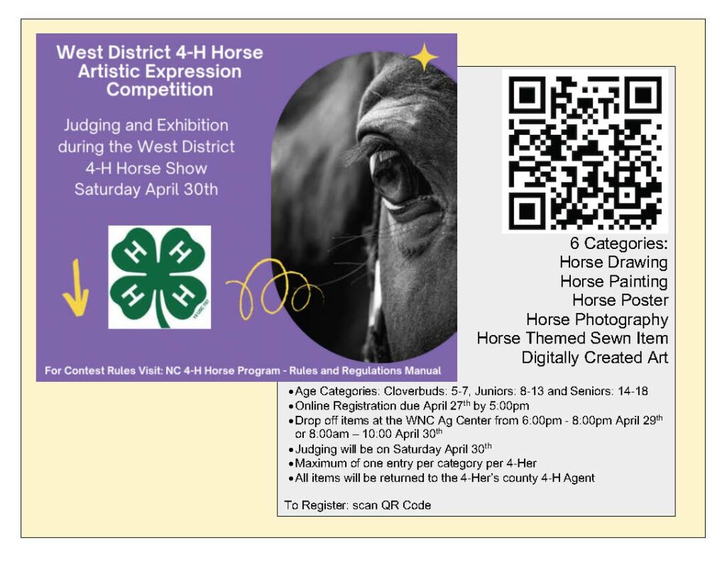 4-H Horse Artistic Expression Info