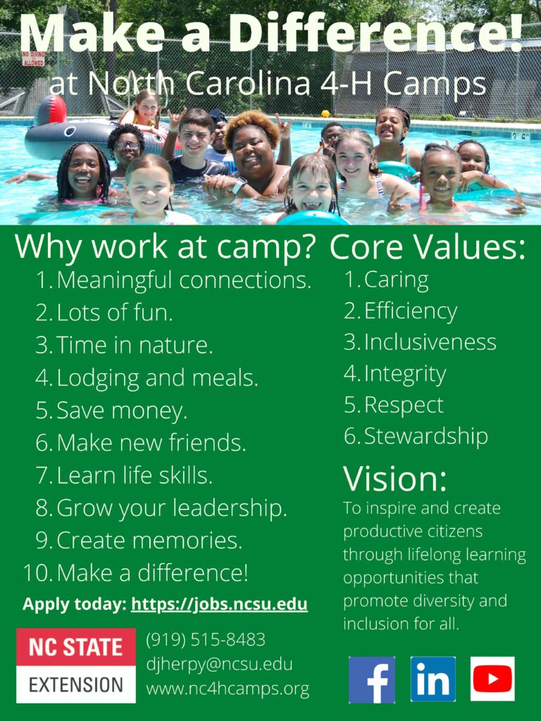 2022 4-H Summer Camp Positions