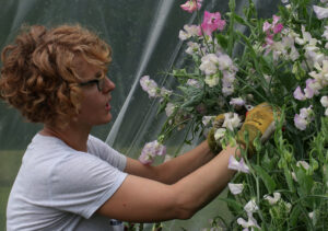 Cover photo for Farm Visit Snapshots: Over the Moon Farm