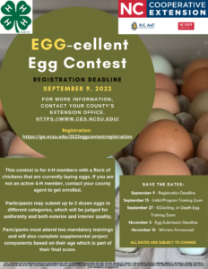 Egg-Cellent Egg Contest Flyer