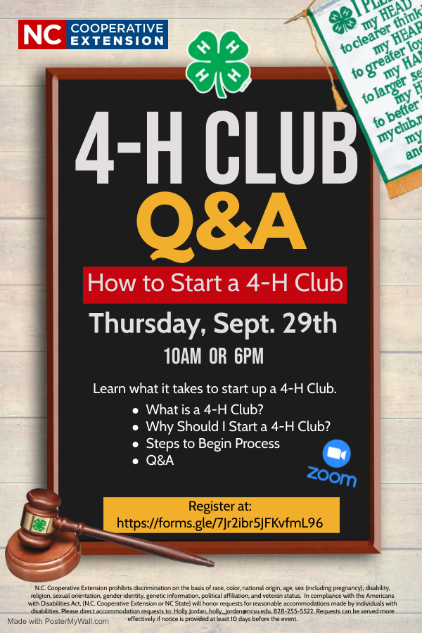 HOW TO START A 4 H CLUB Spring Mountain Community Center