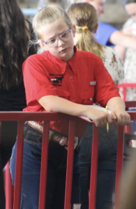 Cover photo for Henderson County Youth Livestock Judging Parent Interest Meeting