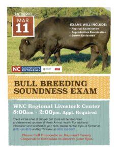 Cover photo for Spring Bull Soundness Exams 2023