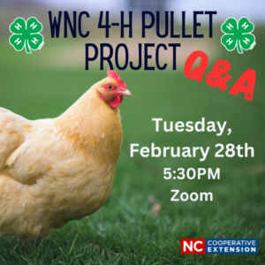 WNC 4-H Pullet Project Q&A