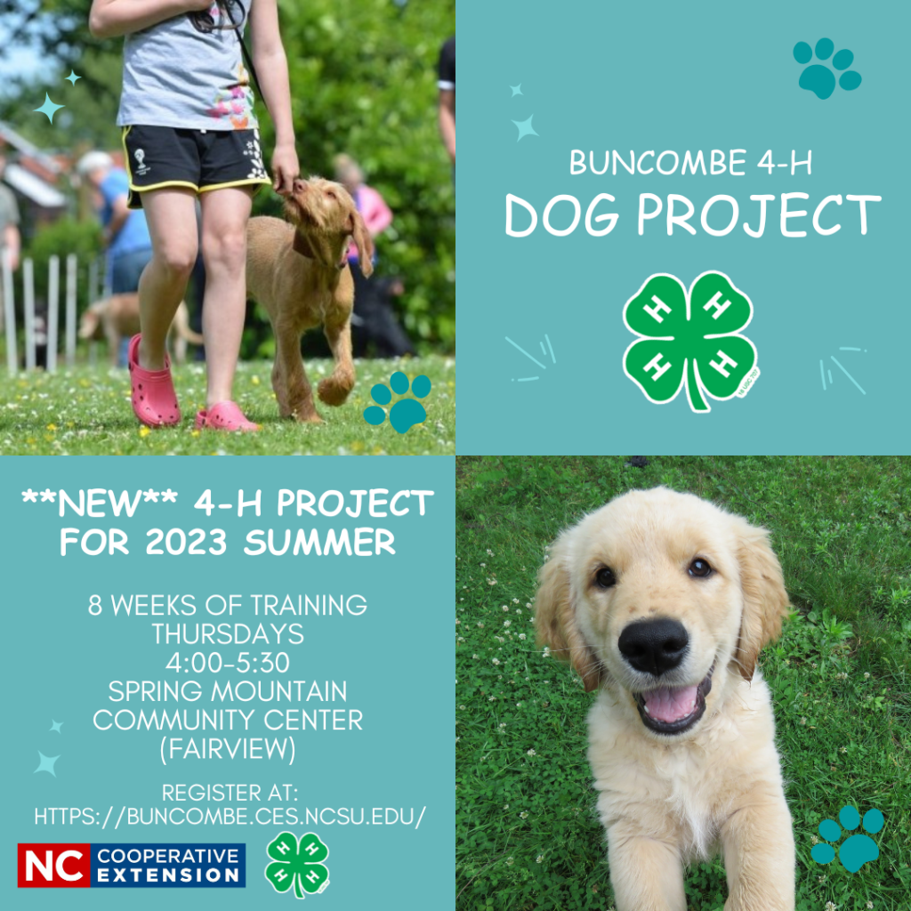  NEW Buncombe 4 H Dog Project N C Cooperative Extension