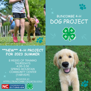 4-H Dog Project