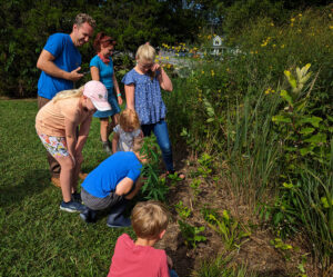 Before we started the count we walked around the pollinator garden to practice identifying different types of insects. Here the kids are looking at early instar monarch caterpillars that were on the resprouted common milkweed plants that I cut back in July when they were done blooming.