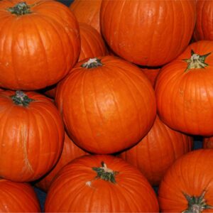 Cover photo for Preserving Pumpkins and Winter Squash