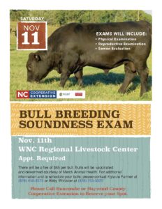 Cover photo for Fall WNC Bull Soundness Exam Day