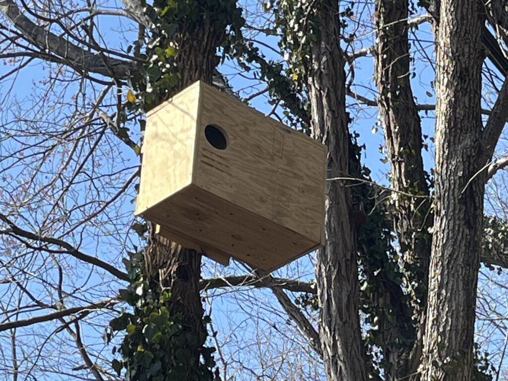 Owl Box located at Buncombe County Extension Center