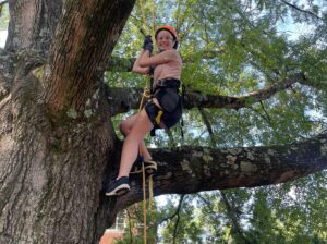 Tree Climber