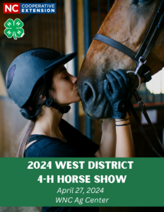 WD 4-H Horse Show