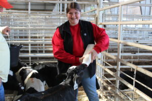 Cover photo for 2024 Dairy Steer Program Begins!!