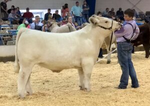 Cover photo for 2024 Gary Stamey Junior Beef Scholarship OPEN