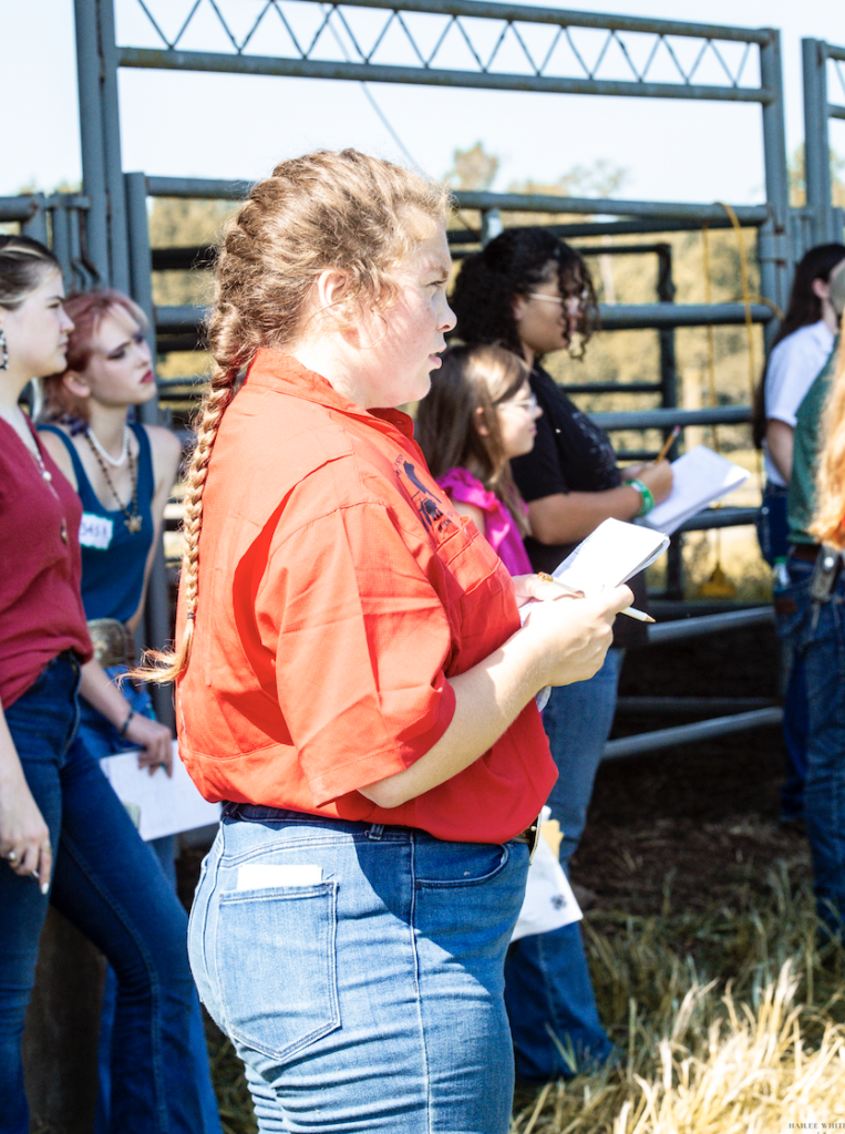 A girl looks toward an animal pin.